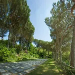 Mambrini * Sorrento